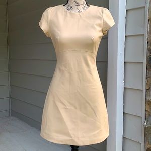 Zara trafaluc collection faux leather dress